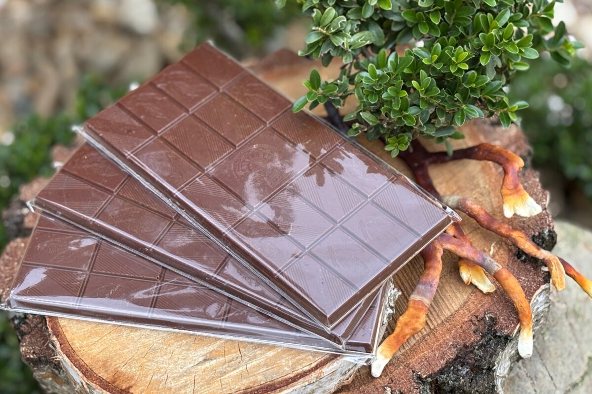 Schokolade mit getrockneten Pilzen, 9,90
