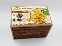 Limonenseitling Bio Home-Pilzzuchtset