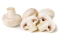 Weißer Champignon-Pilzbrut BIO 1 Liter