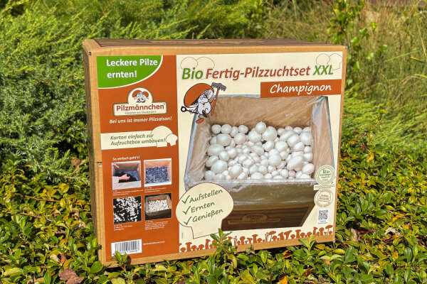 Bio Champignon-Pilzzuchtset XXL Groß-Packung 10 kg