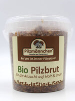 NEU! Buchenpilz-Pilzbrut BIO