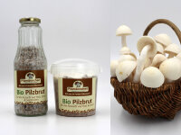 NEU! Buchenpilz-Pilzbrut BIO