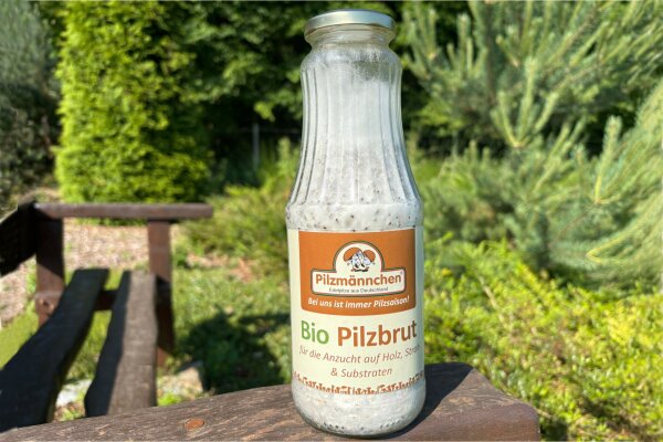 Eierporling-"Chicken of the woods"-Pilzbrut BIO Körner-Pilzbrut 1 Liter