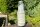 Eierporling-"Chicken of the woods"-Pilzbrut BIO Körner-Pilzbrut 1 Liter