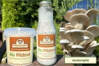 Austernpilz-Pilzbrut BIO 1 Liter