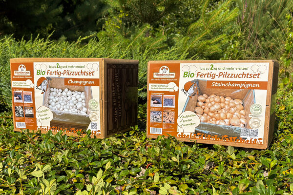 Bio-Champignon-Pilzzucht-Set, 2 Boxen im Set, braun + weiß