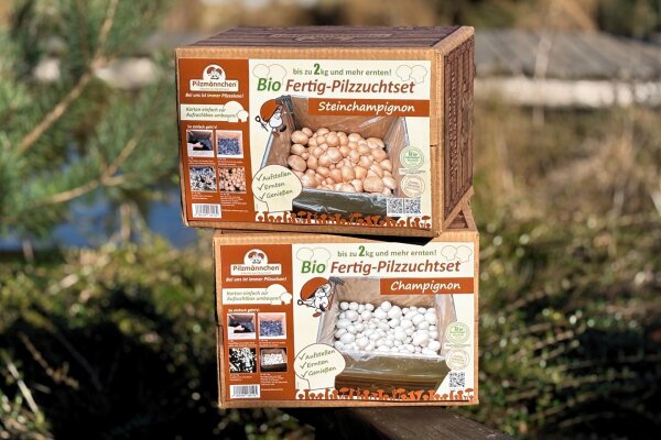 Bio-Champignon-Pilzzucht-Set, 2 Boxen im Set, braun + weiß