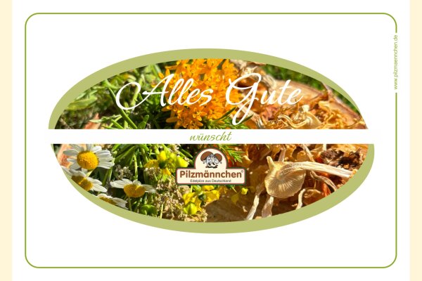 Feinschmecker-Genuss-Set Bio Austernseitling inkl. Präsentkarton Herzlichen Glückwunsch