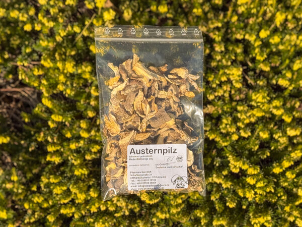 Bio Austernpilze getrocknet, DE-ÖKO-021, 20 g